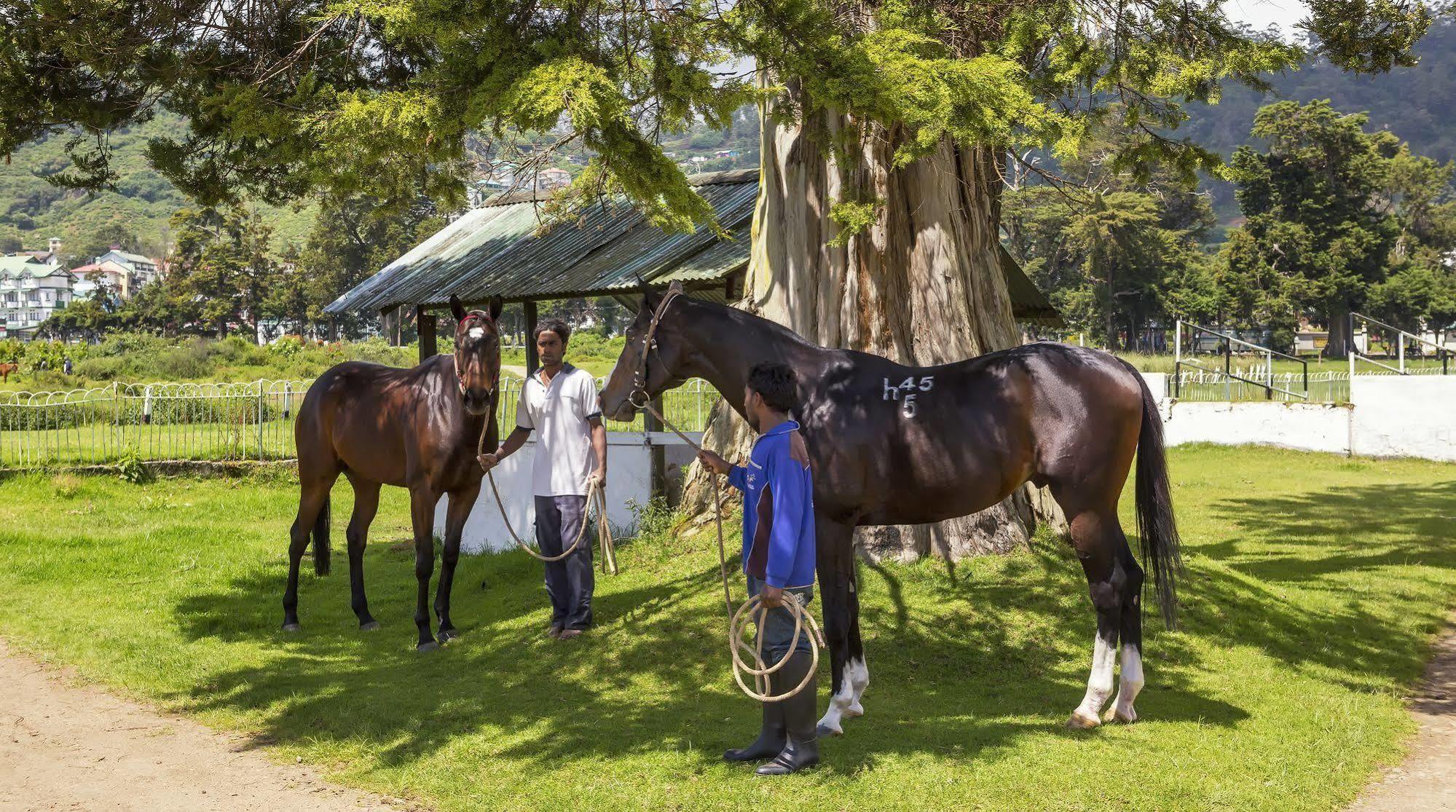 Hill Rise Luxury Villa & Stables By Edwards Collection Nuwara Eliya Ngoại thất bức ảnh